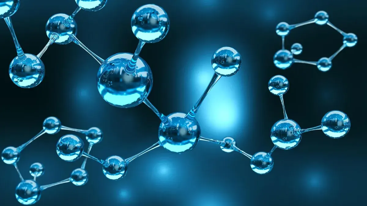 What are Peptides?